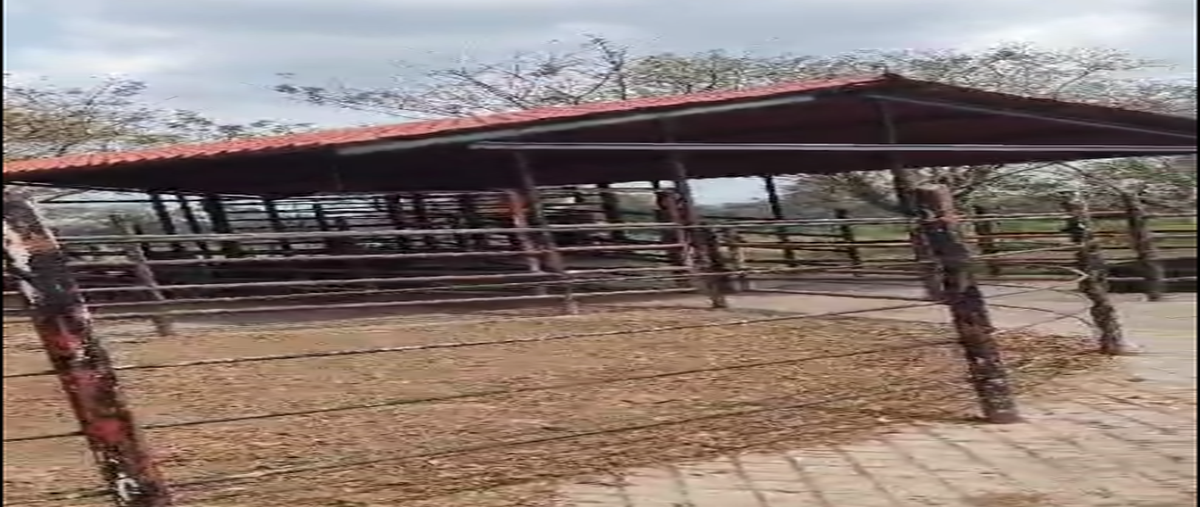 Foto de rancho en fcm4+hmc las luisianaspuebla , linderos, venustiano carranza, puebla, 29988037 foto 03 Foto de rancho en venta en fcm4+hmc las luisianaspuebla , linderos, venustiano carranza, puebla, 29988037 No. 03