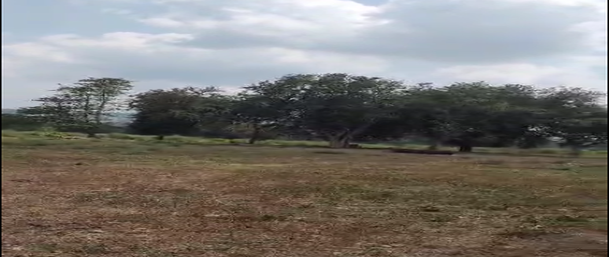 Foto de rancho en fcm4+hmc las luisianaspuebla , linderos, venustiano carranza, puebla, 29988037 foto 04 Foto de rancho en venta en fcm4+hmc las luisianaspuebla , linderos, venustiano carranza, puebla, 29988037 No. 04