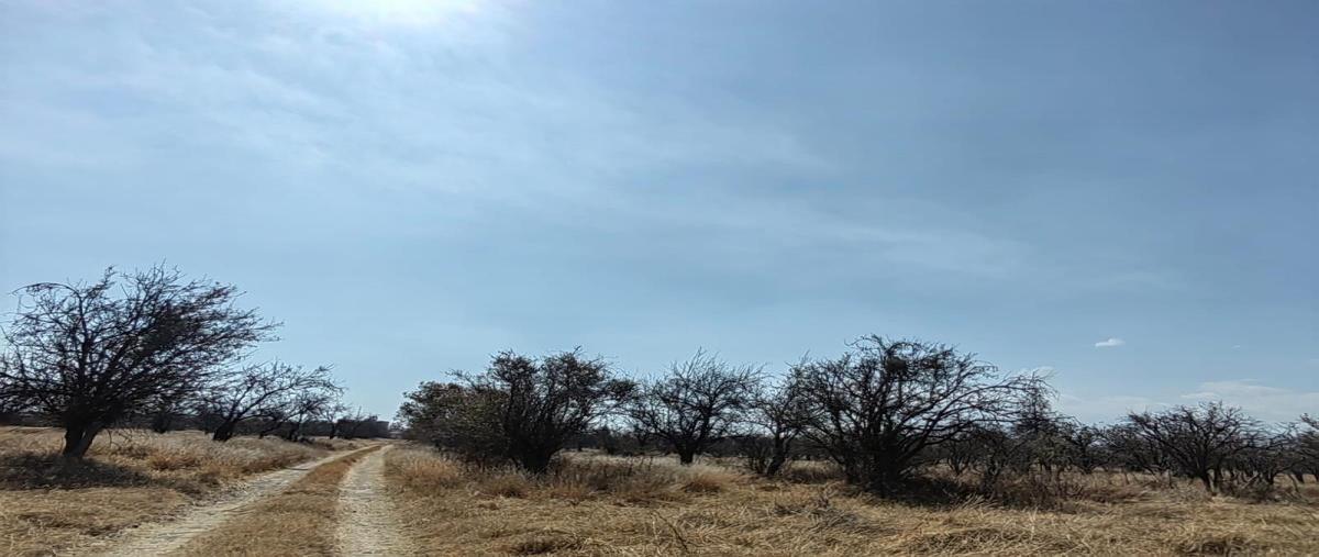 Foto de terreno comercial en federal puebla mexico 101, real de huejotzingo, huejotzingo, puebla, 0 foto 02 Foto de terreno comercial en venta en federal puebla mexico 101, real de huejotzingo, huejotzingo, puebla, 0 No. 02