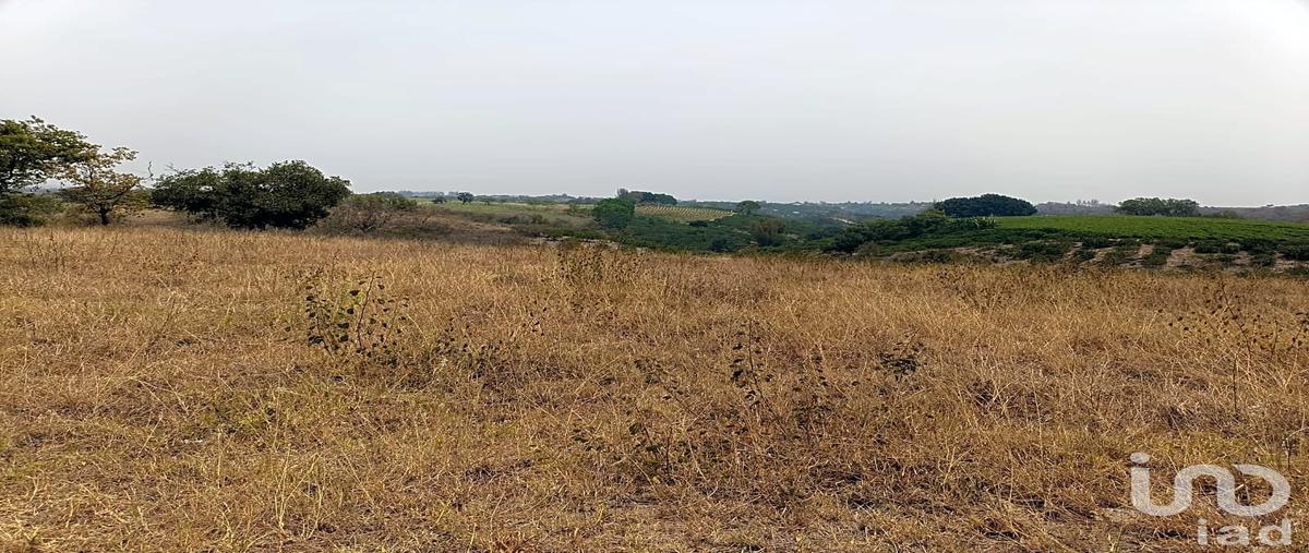 Foto de terreno habitacional en venta en federico chopin , la aurora, emiliano zapata, veracruz de ignacio de la llave, 0 No. 04