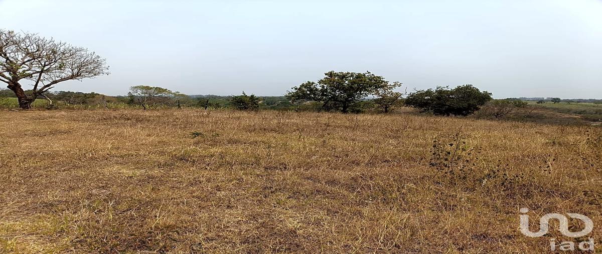 Foto de terreno habitacional en venta en federico chopin , la aurora, emiliano zapata, veracruz de ignacio de la llave, 0 No. 05