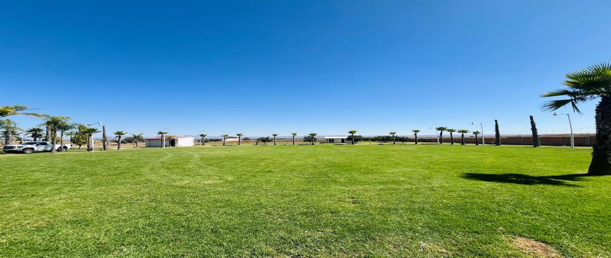 Foto de rancho en felipe angeles carretera 10 , el garabato, pabellón de arteaga, aguascalientes, 30493640 foto 02 Foto de rancho en venta en felipe angeles carretera 10 , el garabato, pabellón de arteaga, aguascalientes, 30493640 No. 02