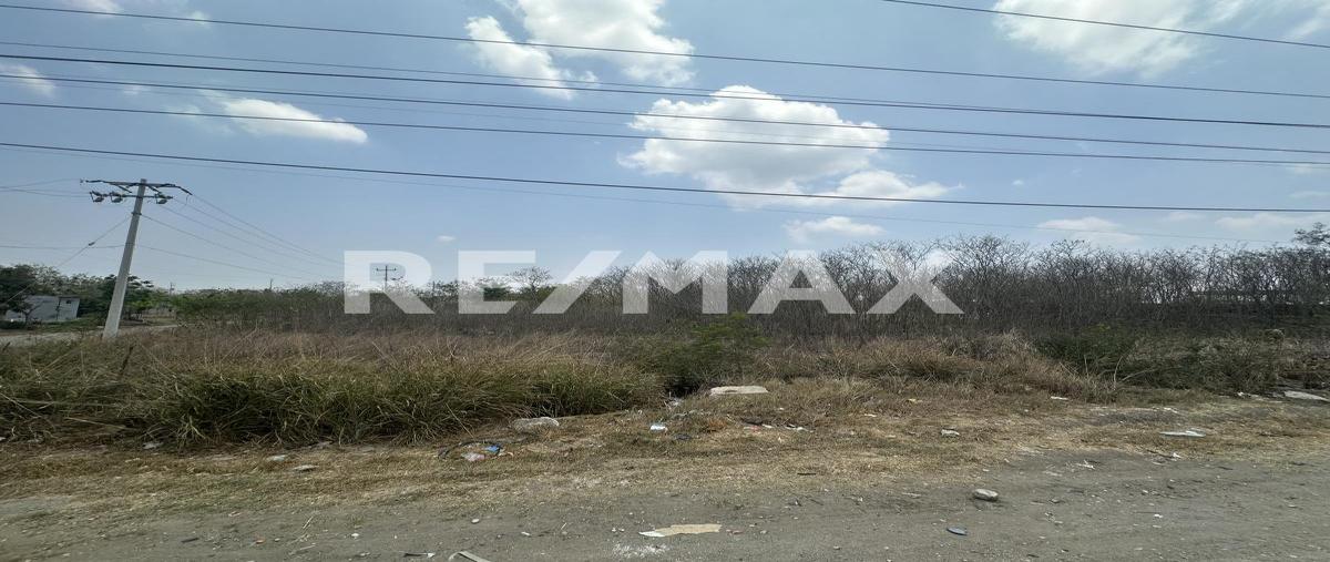 Foto de terreno habitacional en venta en felipe angeles , rio tamiahua, altamira, tamaulipas, 0 No. 03