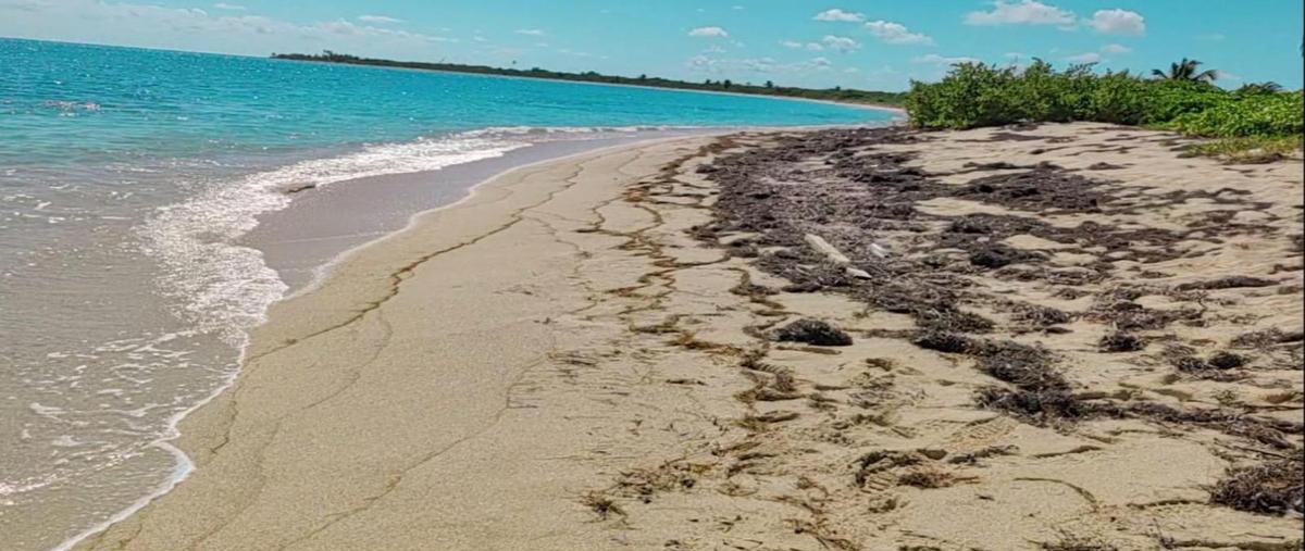 Foto de terreno habitacional en , felipe carrillo puerto centro, felipe carrillo puerto, quintana roo, 0 foto 03 Foto de terreno habitacional en venta en , felipe carrillo puerto centro, felipe carrillo puerto, quintana roo, 0 No. 03