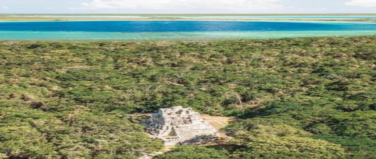 Foto de terreno habitacional en venta en  , felipe carrillo puerto centro, felipe carrillo puerto, quintana roo, 0 No. 03