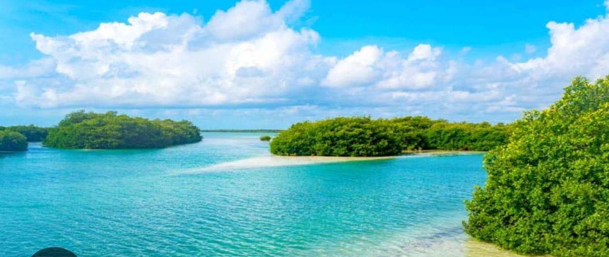 Foto de terreno habitacional en venta en  , felipe carrillo puerto centro, felipe carrillo puerto, quintana roo, 0 No. 04