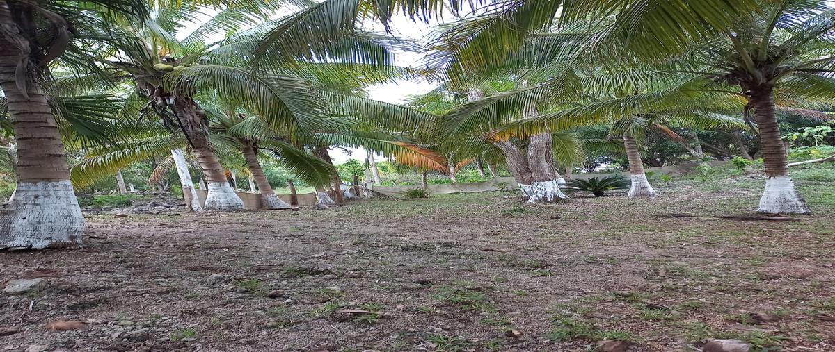 Foto de rancho en felipe carrillo puerto , laguna kana, felipe carrillo puerto, quintana roo, 28173170 foto 02 Foto de rancho en venta en felipe carrillo puerto , laguna kana, felipe carrillo puerto, quintana roo, 28173170 No. 02