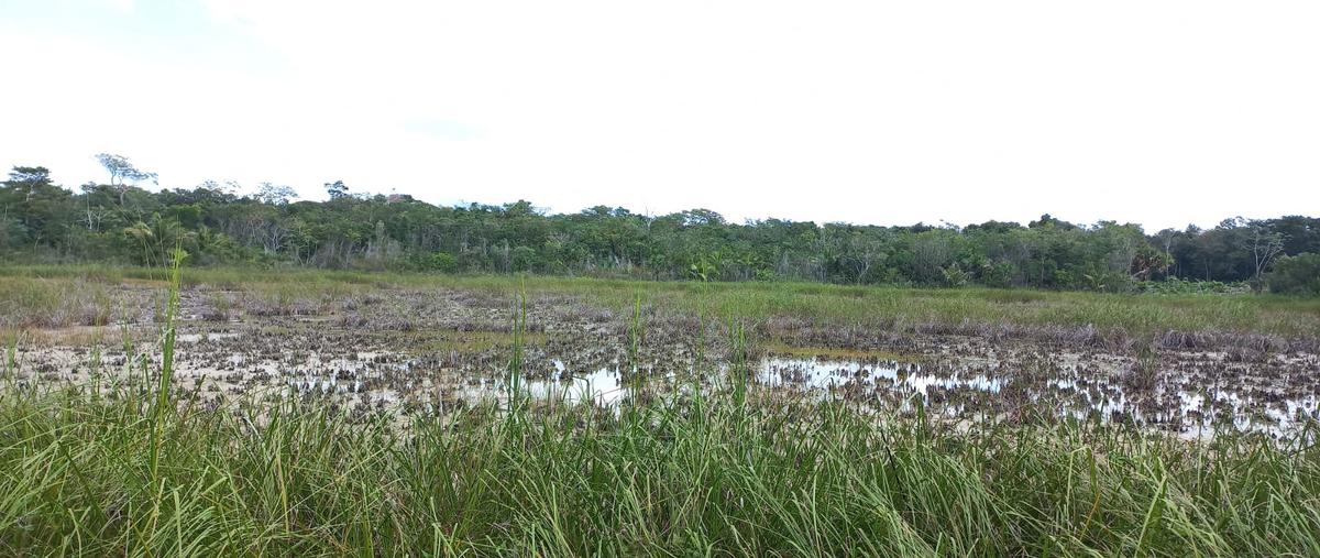 Foto de rancho en felipe carrillo puerto , laguna kana, felipe carrillo puerto, quintana roo, 28173170 foto 03 Foto de rancho en venta en felipe carrillo puerto , laguna kana, felipe carrillo puerto, quintana roo, 28173170 No. 03
