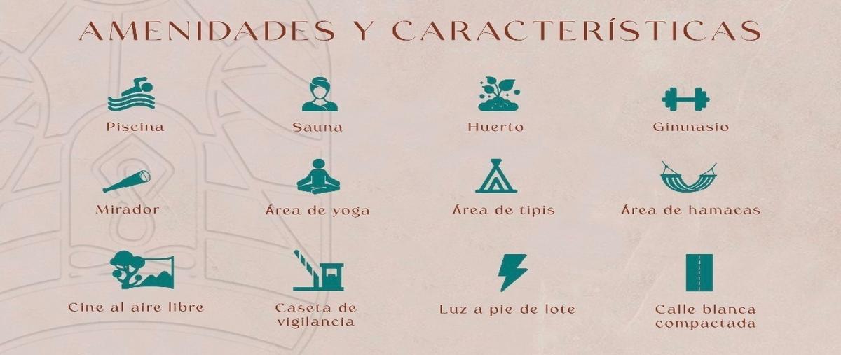 Foto de terreno habitacional en , felipe carrillo puerto, mérida, yucatán, 27823613 foto 04 Foto de terreno habitacional en venta en , felipe carrillo puerto, mérida, yucatán, 27823613 No. 04