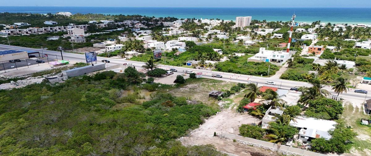 Foto de terreno habitacional en venta en  , felipe carrillo puerto, mérida, yucatán, 30329376 No. 04