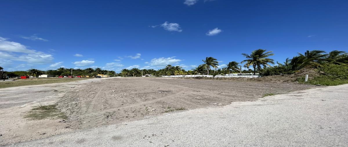 Foto de terreno habitacional en venta en  , felipe carrillo puerto, mérida, yucatán, 30516181 No. 04