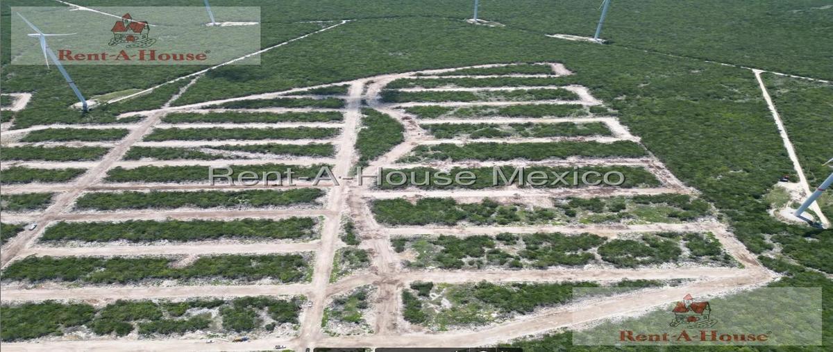 Foto de terreno habitacional en venta en  , felipe carrillo puerto, mérida, yucatán, 0 No. 03