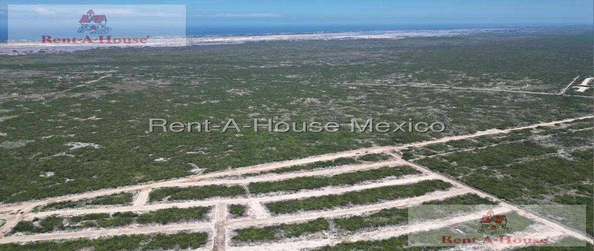 Foto de terreno habitacional en venta en  , felipe carrillo puerto, mérida, yucatán, 0 No. 04
