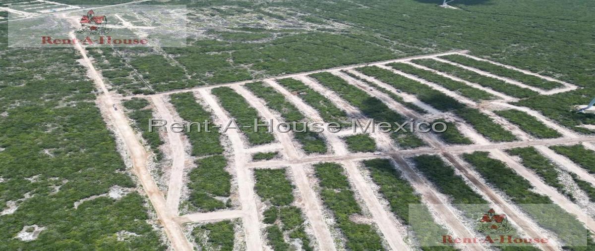 Foto de terreno habitacional en venta en  , felipe carrillo puerto, mérida, yucatán, 0 No. 05