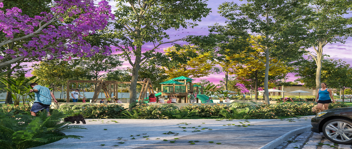 Foto de terreno habitacional en venta en  , felipe carrillo puerto, motul, yucatán, 0 No. 03