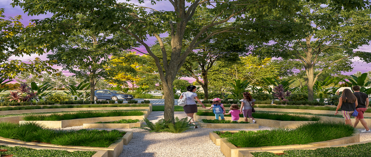 Foto de terreno habitacional en venta en  , felipe carrillo puerto, motul, yucatán, 0 No. 04