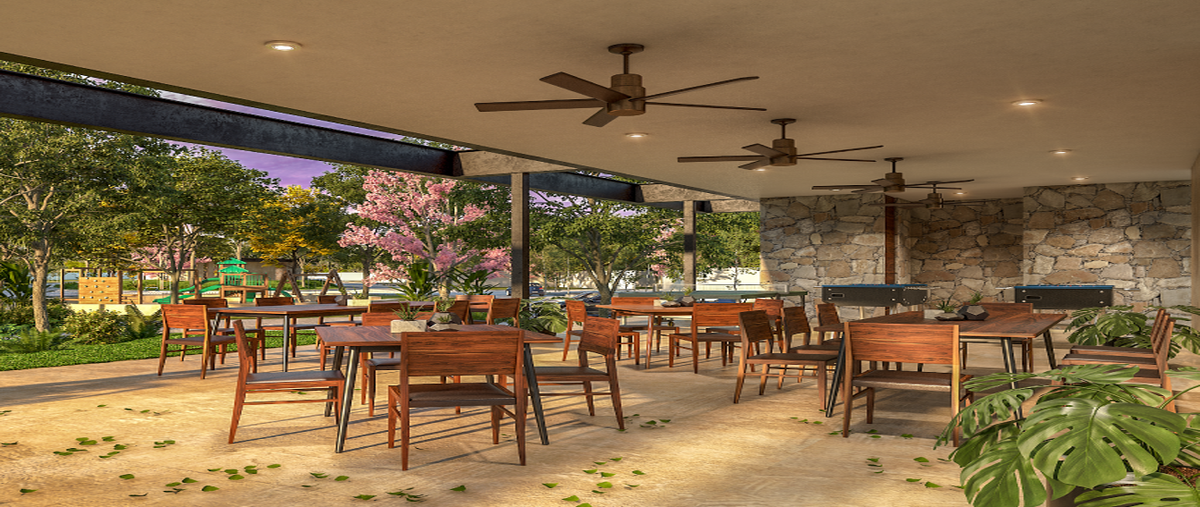 Foto de terreno habitacional en venta en  , felipe carrillo puerto, motul, yucatán, 0 No. 05