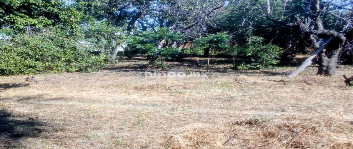 Foto de terreno habitacional en felipe neri , emiliano zapata, cuautla, morelos, 29988853 foto 02 Foto de terreno habitacional en venta en felipe neri , emiliano zapata, cuautla, morelos, 29988853 No. 02