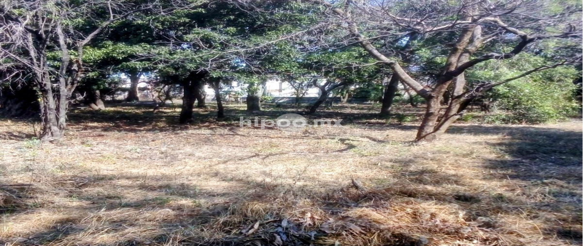 Foto de terreno habitacional en felipe neri , emiliano zapata, cuautla, morelos, 29988853 foto 03 Foto de terreno habitacional en venta en felipe neri , emiliano zapata, cuautla, morelos, 29988853 No. 03