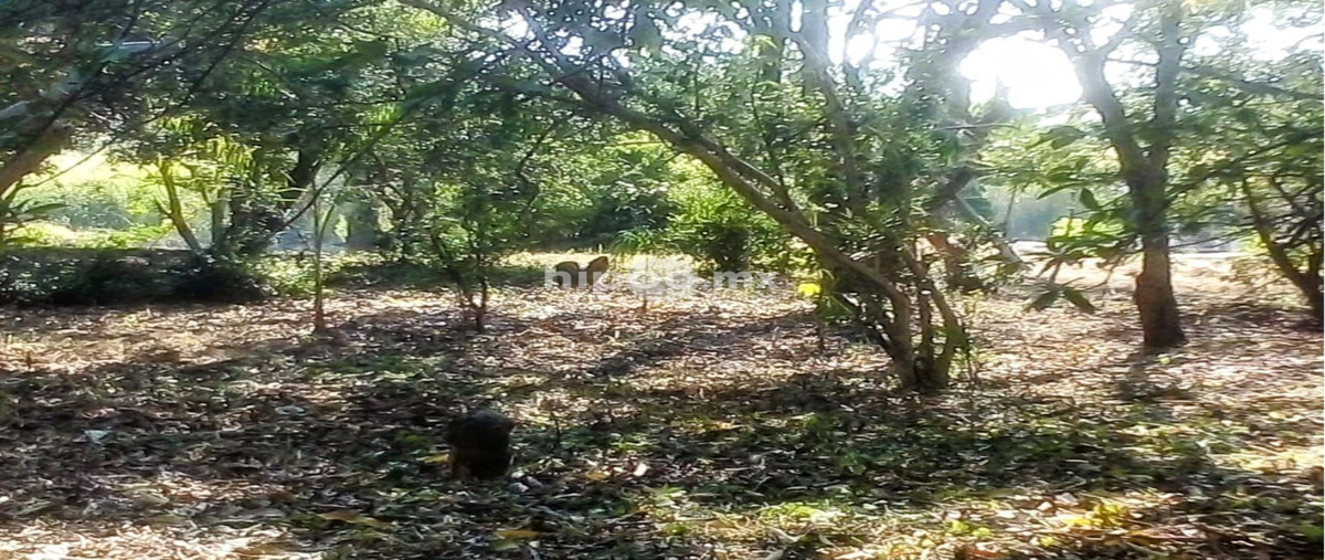 Foto de terreno habitacional en felipe neri , emiliano zapata, cuautla, morelos, 29988853 foto 04 Foto de terreno habitacional en venta en felipe neri , emiliano zapata, cuautla, morelos, 29988853 No. 04