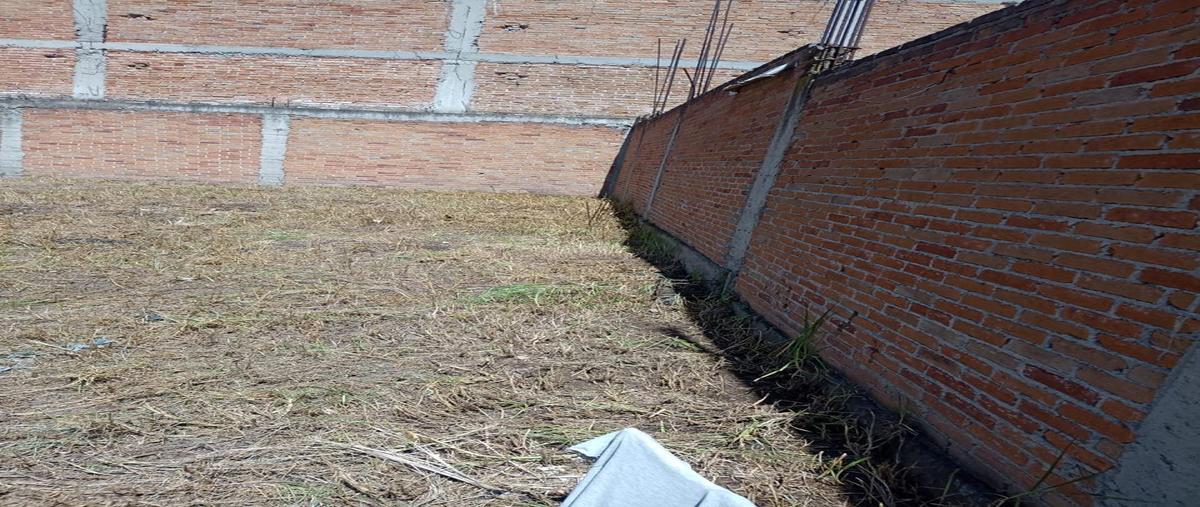 Foto de terreno habitacional en renta en felipe villanueva , ocho cedros, toluca, méxico, 28520174 No. 05