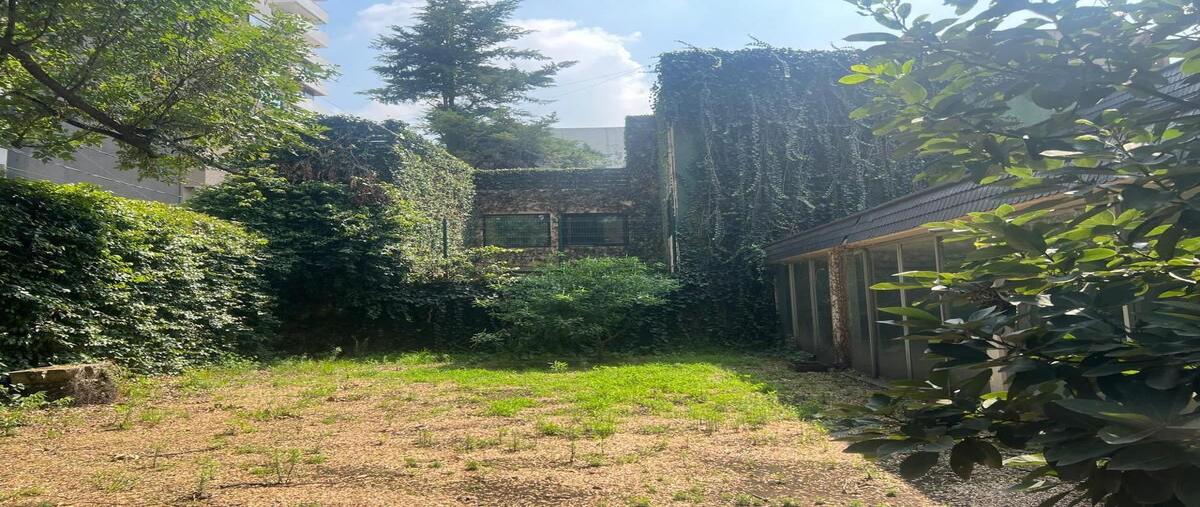 Foto de casa en venta en felix berenguer , lomas de bezares, miguel hidalgo, df / cdmx, 29983349 No. 02