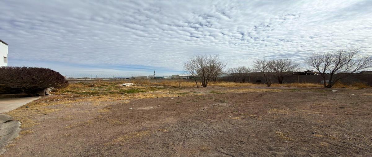 Foto de terreno habitacional en venta en  , fernando baeza, cuauhtémoc, chihuahua, 0 No. 04