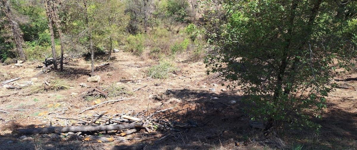 Foto de terreno habitacional en venta en  , ferreria de tula, tapalpa, jalisco, 28245691 No. 05