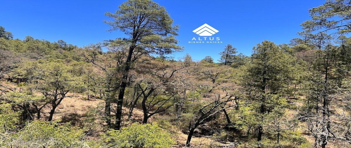 Foto de terreno habitacional en venta en  , ferreria de tula, tapalpa, jalisco, 28270697 No. 02