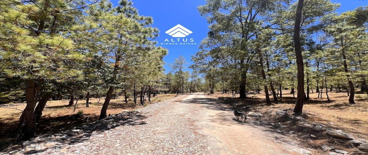Foto de terreno habitacional en venta en  , ferreria de tula, tapalpa, jalisco, 28270697 No. 05