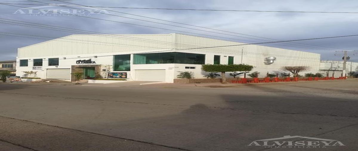 Foto de local en renta en ferrocarrilera , ferrocarrilera, culiacán, sinaloa, 0 No. 05