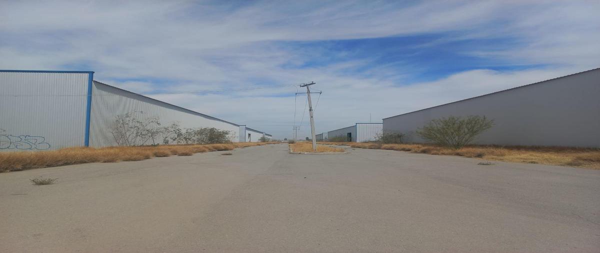 Foto de bodega en renta en  , ferropuerto, torreón, coahuila de zaragoza, 30340452 No. 02