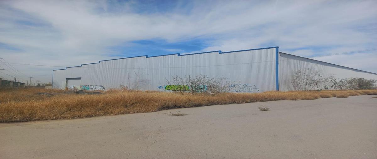 Foto de bodega en renta en  , ferropuerto, torreón, coahuila de zaragoza, 30340452 No. 03