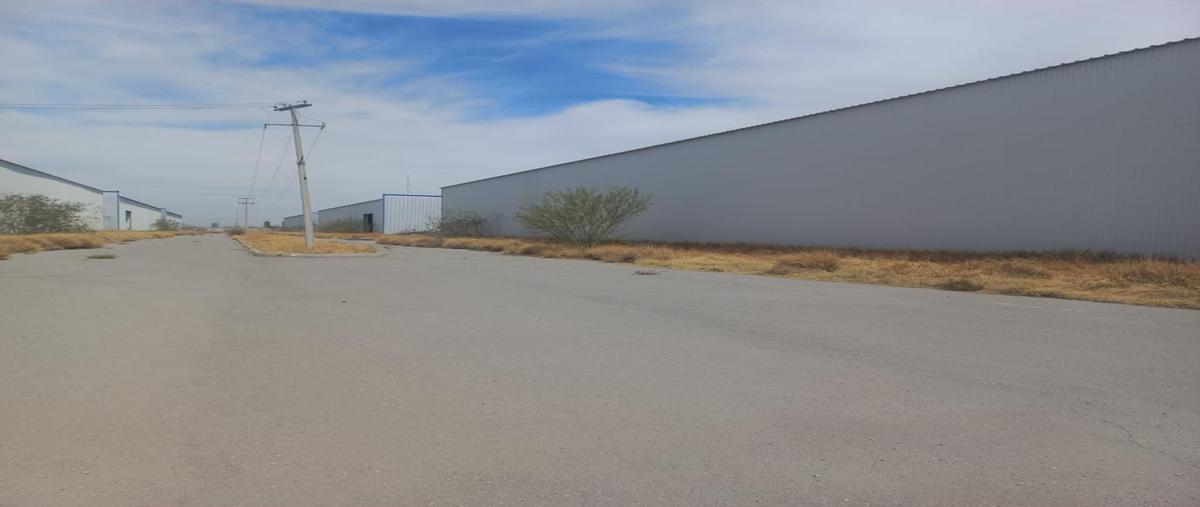 Foto de bodega en renta en  , ferropuerto, torreón, coahuila de zaragoza, 30340452 No. 04