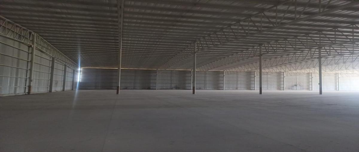 Foto de bodega en renta en  , ferropuerto, torreón, coahuila de zaragoza, 30340452 No. 05
