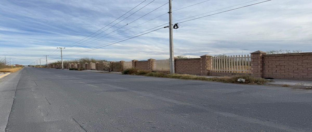Foto de terreno industrial en venta en  , ferropuerto, torreón, coahuila de zaragoza, 0 No. 04