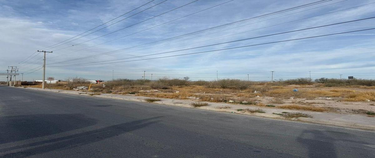 Foto de terreno industrial en venta en  , ferropuerto, torreón, coahuila de zaragoza, 0 No. 06