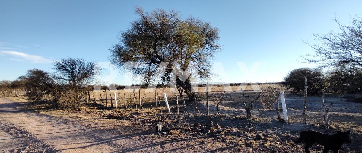 Foto de terreno habitacional en venta en ff.cc durango - torreon , rancho san carlos, durango, durango, 0 No. 03