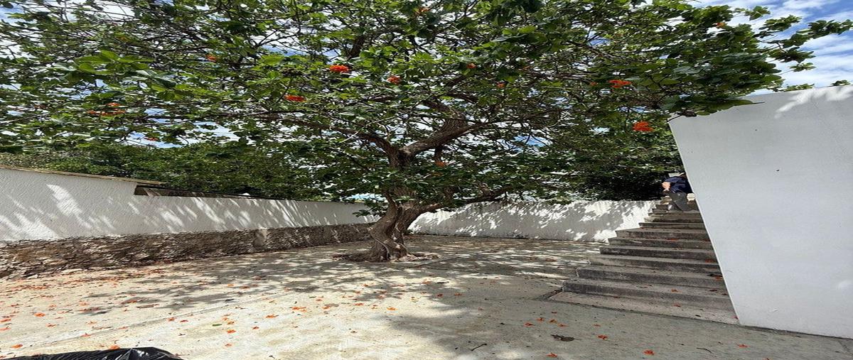 Foto de local en venta en  , fidel velázquez, mérida, yucatán, 0 No. 08