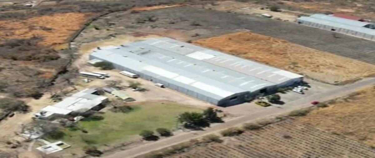 Foto de bodega en venta en filo , juanacatlan, juanacatlán, jalisco, 26972606 No. 03