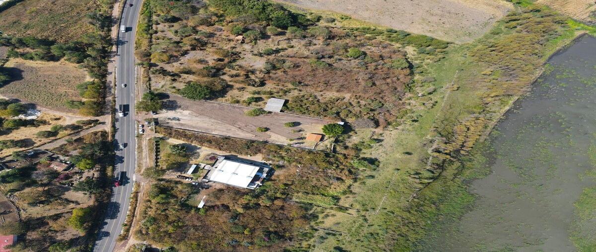 Foto de terreno habitacional en finca 100 de la calle herrera y cairo , san luis soyatlan, tuxcueca, jalisco, 29225501 foto 05 Foto de terreno habitacional en venta en finca 100 de la calle herrera y cairo , san luis soyatlan, tuxcueca, jalisco, 29225501 No. 05