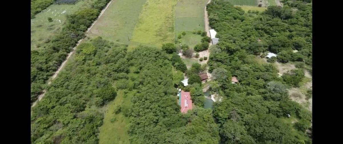 Foto de rancho en venta en finca las limas , américa libre, chiapa de corzo, chiapas, 28574285 No. 05