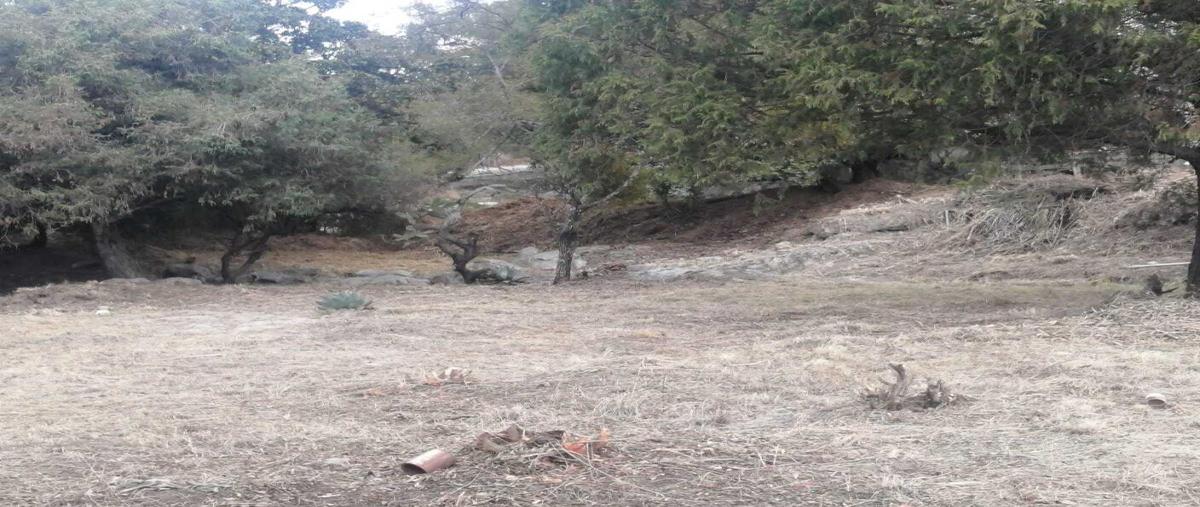 Foto de terreno habitacional en venta en fincas 2, campestre haras, amozoc, puebla, 22234489 No. 04