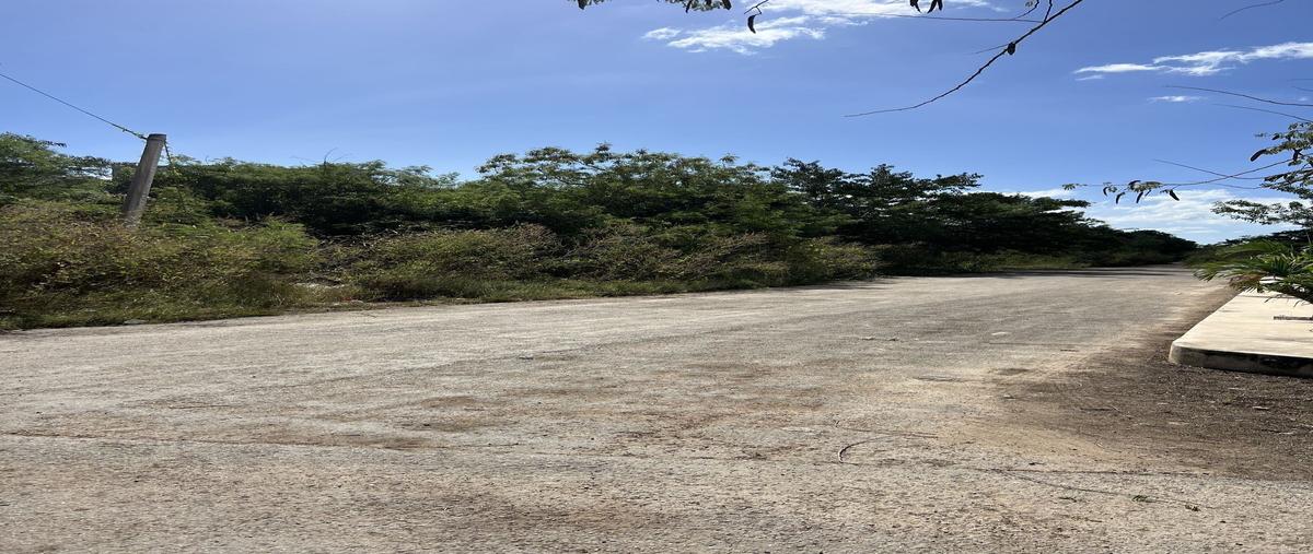 Foto de terreno habitacional en fincas , temozon norte, mérida, yucatán, 30010617 foto 01 Foto de terreno habitacional en venta en fincas , temozon norte, mérida, yucatán, 30010617 No. 01