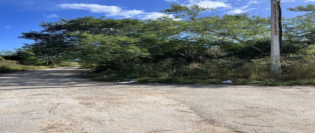 Foto de terreno habitacional en fincas , temozon norte, mérida, yucatán, 30010617 foto 02 Foto de terreno habitacional en venta en fincas , temozon norte, mérida, yucatán, 30010617 No. 02