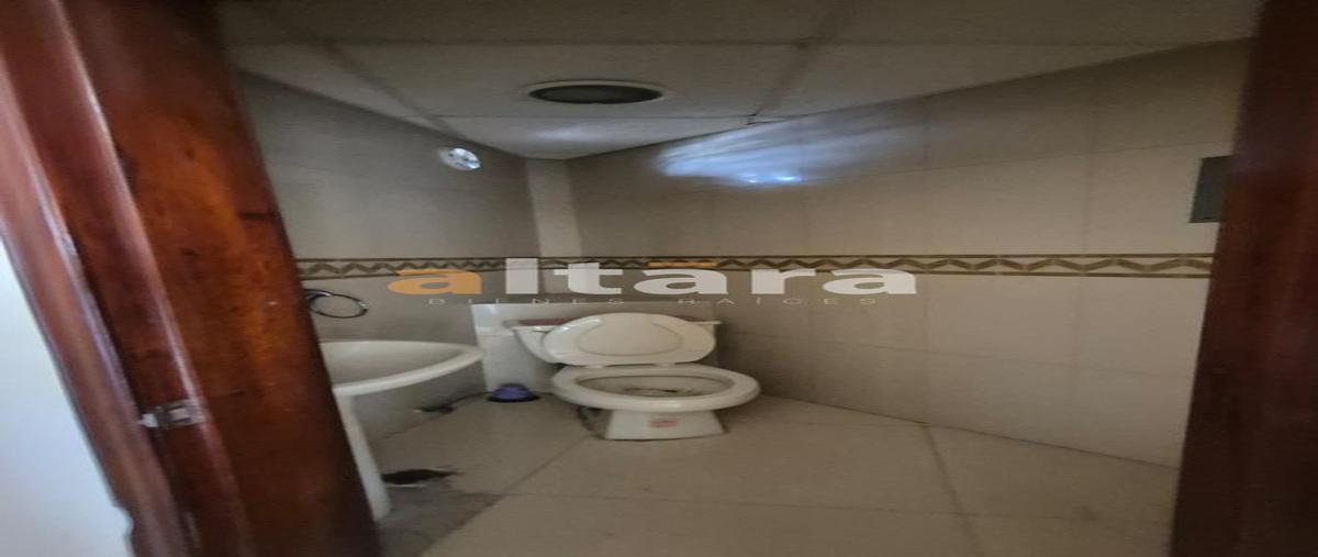 Foto de local en renta en  , flamboyanes, tampico, tamaulipas, 0 No. 05
