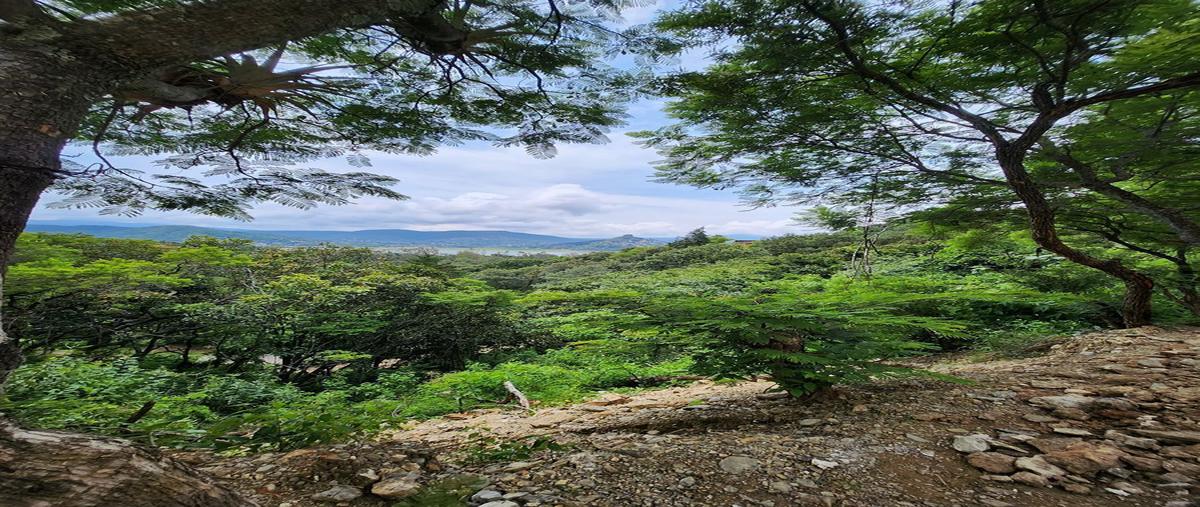 Foto de terreno habitacional en venta en flamingo , san gaspar, valle de bravo, méxico, 26740215 No. 03