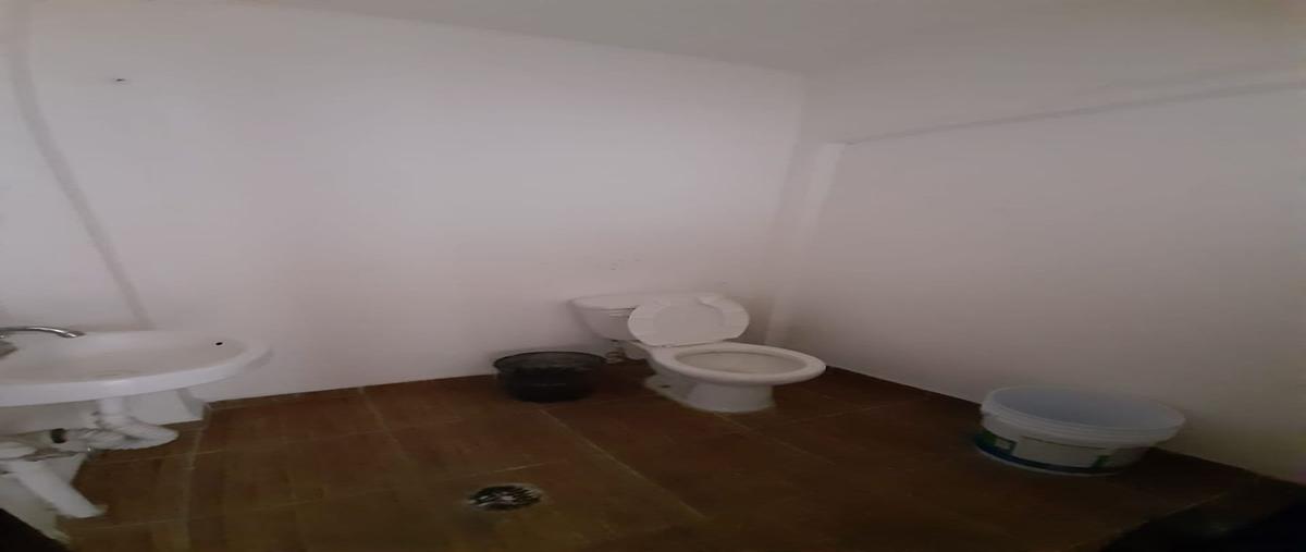 Foto de edificio en venta en flamingos , metropolitana segunda sección, nezahualcóyotl, méxico, 27686373 No. 04