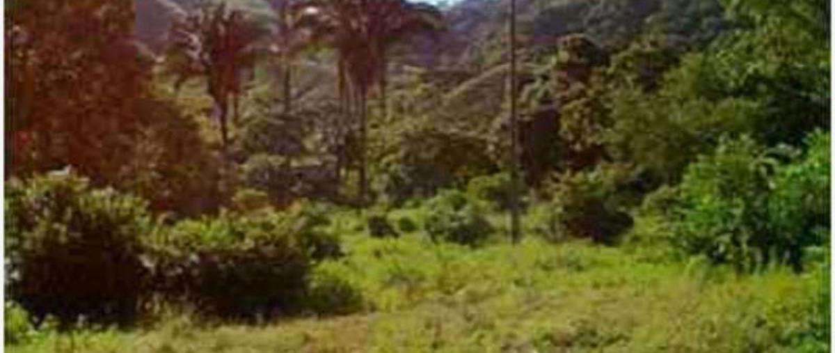 Foto de rancho en , gregorio torres quintero, armería, colima, 8595772 foto 01 Foto de rancho en venta en , gregorio torres quintero, armería, colima, 8595772 No. 01