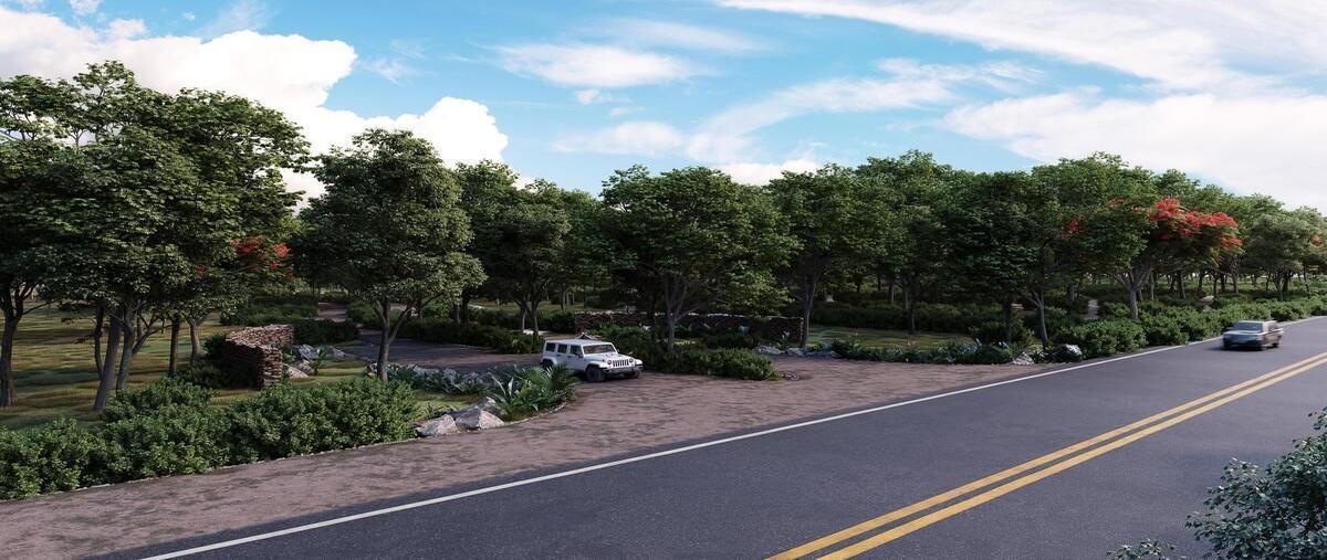 Foto de terreno habitacional en flor de lunakinchil yucatán , kinchil, kinchil, yucatán, 28289805 foto 05 Foto de terreno habitacional en venta en flor de lunakinchil yucatán , kinchil, kinchil, yucatán, 28289805 No. 05